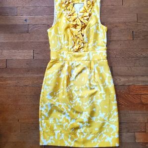 The Limited dress NWOT